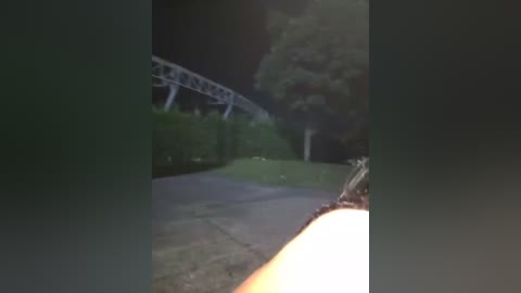 A dimly lit video captures a person's arm holding a glowing lighter, illuminating a dark, narrow path bordered by a hedge and a metal bridge in the background. The scene is shadowy, with a hint of green foliage.