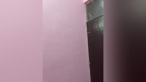 Video of a narrow, dimly lit hallway with soft pink walls, featuring a partially obscured, metallic door on the right. The scene is minimalistic, creating an eerie, almost surreal atmosphere.