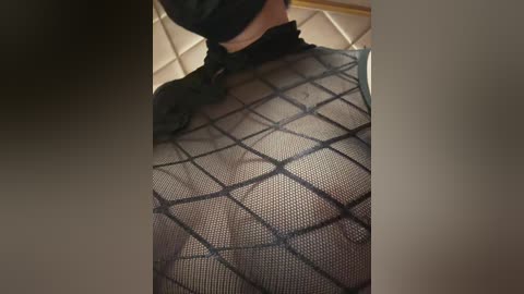 ddreba free recording from 2026-02-07 01:05:00