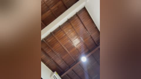 Video of a rustic wooden ceiling with a central light fixture, surrounded by blurred human faces in the foreground.