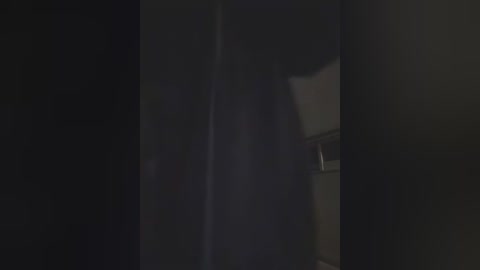 Media: A dimly lit video captures a person in silhouette, partially obscured by a dark, possibly wooden, door frame. The background is indistinct, with shadows dominating the scene, giving it a mysterious, moody atmosphere.