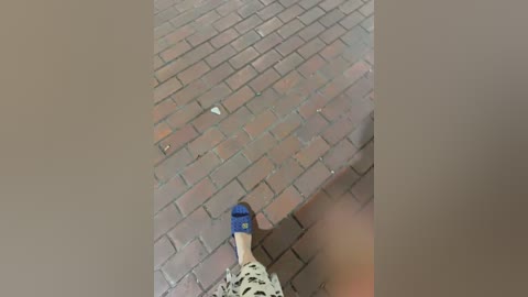 meii_meyy free recording from 2026-02-07 00:17:00