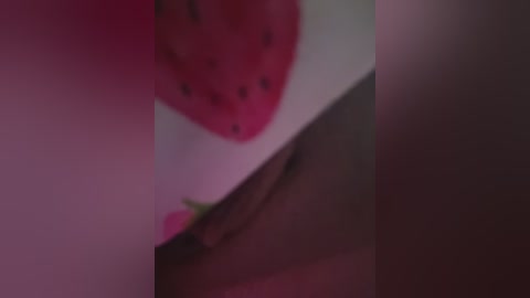 natalia_vidal free recording from 2026-02-07 01:05:00