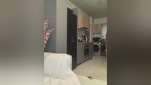 Media: A video of a modern, minimalist kitchen and living area with beige walls, a white sofa, a black refrigerator, light wooden cabinets, and a washer-dryer combo.