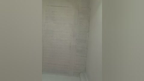 Video of a narrow, white-walled bathroom with a small, rectangular window on the left wall, covered by a translucent shower curtain. The bathroom is clean and minimalistic, with a simple, white bathtub visible in the lower left corner.