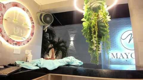 Video of a cozy bathroom with a circular mirror adorned with a floral pattern, a hanging plant, a towel on the countertop, and a Maytag logo visible through the window.