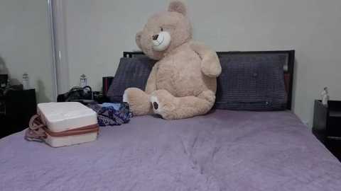 Video of a beige teddy bear on a purple bedspread in a dimly lit room with a gray headboard and a white bottle and blue-patterned clothes beside it.