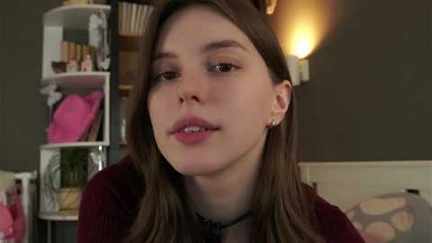 darylbarks free recording from 2026-02-10 00:47:00