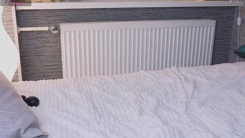 ethalbuffkin free recording from 2026-02-09 00:14:00