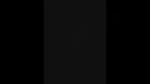 Media: Video of a black-and-white vertical striped flag with three horizontal bands of varying widths, set against a pitch-black background. The stripes are evenly spaced, with the middle band slightly wider than the outer ones.