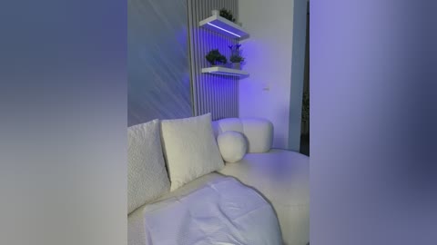 A video of a minimalist, modern living room with white decor and a cozy, plush sectional sofa. A wall-mounted shelving unit holds potted plants, illuminated by blue LED lights.