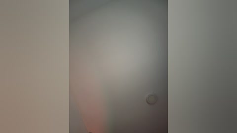 Media: A blurred video of a white door with a small circular knob, set against a muted, neutral background. The image lacks distinct details and has a soft, dreamlike quality.