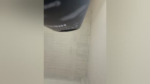 aly_golden_ free recording from 2026-02-10 00:47:00