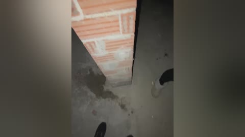 alyssafoxx_ free recording from 2026-02-11 00:27:00