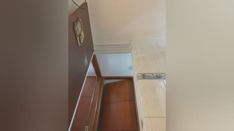 bunny_sexy01 free recording from 2026-02-12 00:10:00