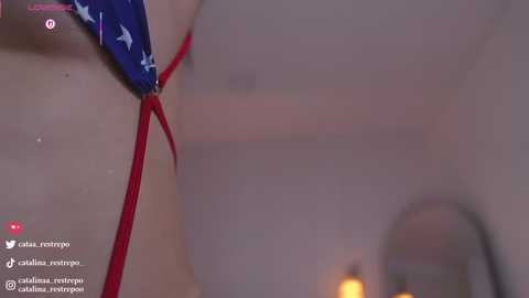 catalina_restrepo free recording from 2026-02-10 00:47:00