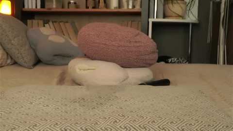 darylbarks free recording from 2026-02-10 00:47:00