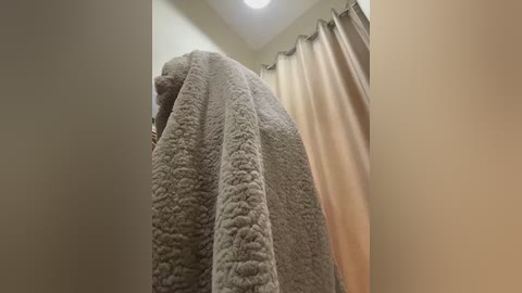 dollytall free recording from 2026-02-10 00:47:00