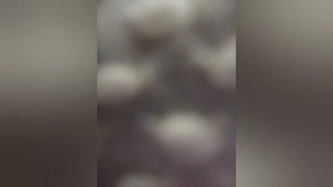 natalia_vidal free recording from 2026-02-10 00:52:00