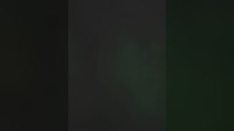 A blurry, dark video with indistinct, possibly greenish-black, vertical stripes. The image lacks discernible details, making it difficult to identify any specific objects or elements.