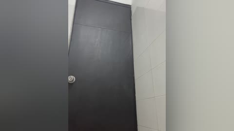Video of a narrow, modern restroom with a black door featuring a circular silver handle. The walls are white tiles with a slight grout line pattern. The space is clean and minimalist.
