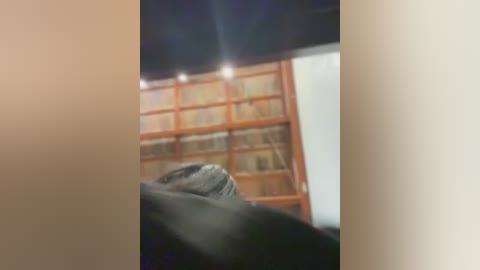 sheenabrooke free recording from 2026-02-10 00:47:00