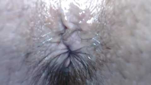 sweetmuslim01 free recording from 2026-02-10 01:46:00