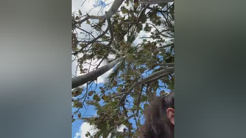 sweetsirenn free recording from 2026-02-10 00:52:00