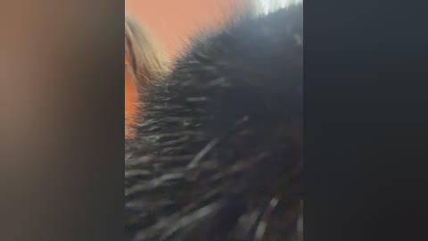 ttixmila free recording from 2026-02-10 00:03:00