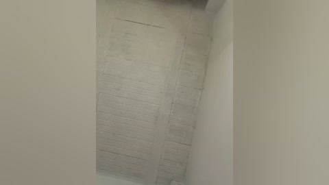 aly_golden_ free recording from 2026-02-11 00:02:00