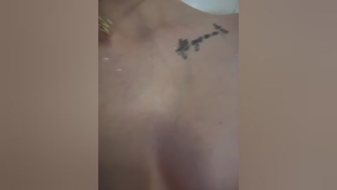 anita_vega free recording from 2026-02-11 00:13:00