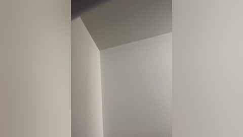 catmila94 free recording from 2026-02-11 00:02:00