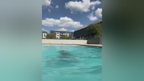 curvydesire1 free recording from 2026-02-12 00:50:00