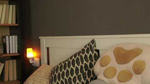 darylbarks free recording from 2026-02-11 00:02:00