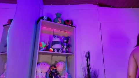 Video of a brightly lit room with purple lighting. A wooden shelving unit holds stuffed toys, including a large panda bear, on the left side. The background shows a partially visible person and a tall, thin vase.