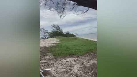 A video of a coastal scene with a sandy beach, green grass, and a cloudy sky. A small, black, cylindrical object is visible on the sand. The image is slightly blurred.