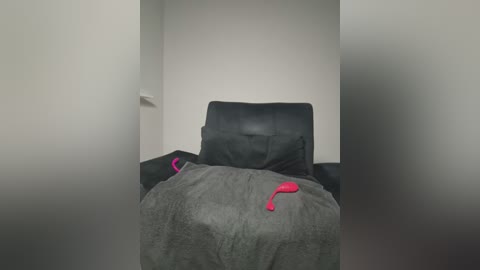 indigomystique free recording from 2026-02-11 00:02:00