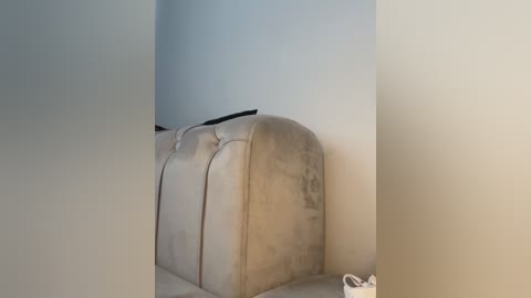 Media: A video of a beige, tufted leather ottoman in a corner, partially hidden by light gray walls. A black object is on top, and a white plastic bag is on the floor.