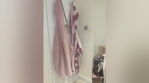 Video of a beige hallway with a white door and two pink bathrobes hanging on hooks. The door is slightly ajar, revealing a cluttered closet with clothing and shoes on the floor.
