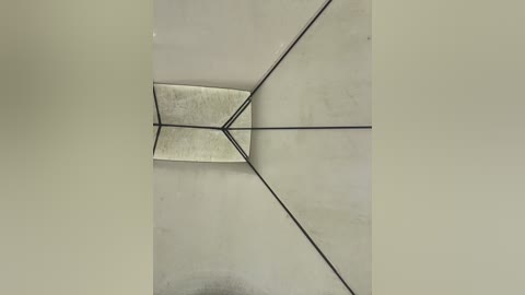 natalia_vidal free recording from 2026-02-11 02:24:00