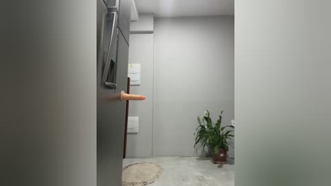 Video of a minimalist, modern apartment hallway with light gray walls, a beige rug, a small potted plant, and a mounted coat rack with a wooden hanger.