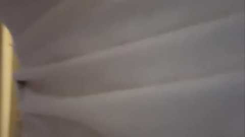 sweet_angel999 free recording from 2026-02-12 00:10:00