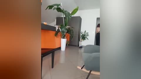 tortuga95pl free recording from 2026-02-11 00:02:00