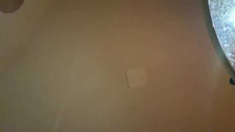 Video of a ceiling with a small, rectangular, light-colored patch, surrounded by a slightly darker area. A circular, ornate chandelier with intricate glass details is partially visible in the top right corner. The overall color palette is warm with beige and brown tones.