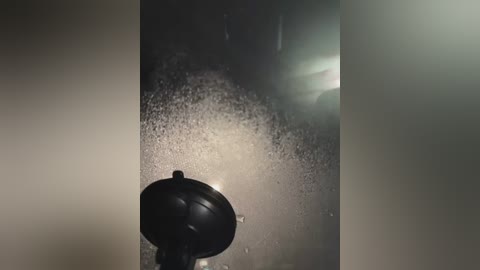 alyssafoxx_ free recording from 2026-02-12 01:53:00