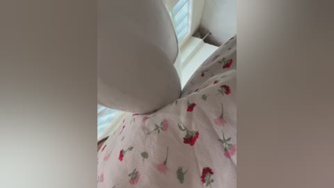 angelinateller free recording from 2026-02-12 00:45:00