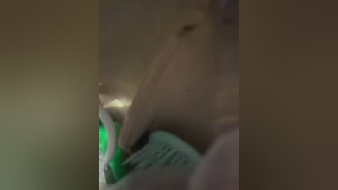 angelinateller free recording from 2026-02-12 00:45:00