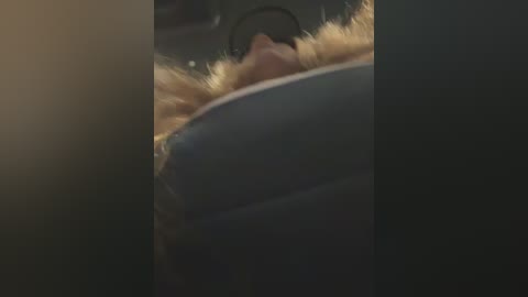 bigbuttbrooklynn free recording from 2026-02-12 00:50:00