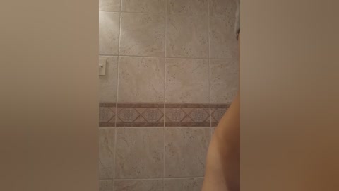 Video of a beige-tiled bathroom wall with a decorative, brown-and-white diamond-patterned border. A partially visible, nude, light-skinned person's arm is on the right side.