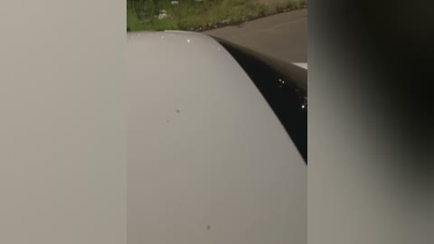 Video of a white car's rear end with a slight curve, positioned on a dark asphalt road. The background features a green grassy area and a blurred white object, possibly a sign or marker.
